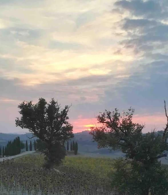 La Roverella Holiday home Francavilla d'Ete