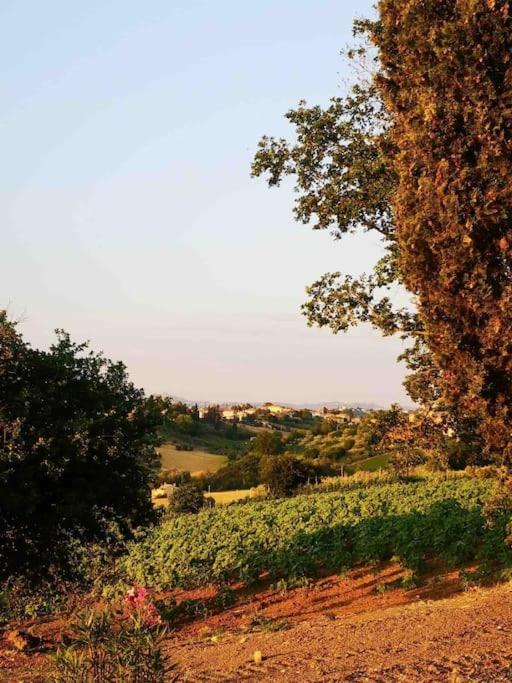 Holiday home La Roverella