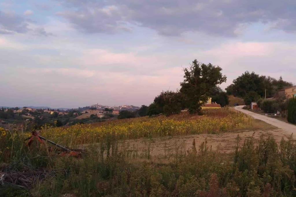 La Roverella * Francavilla d'Ete