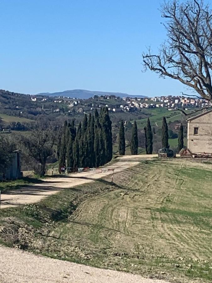La Roverella *