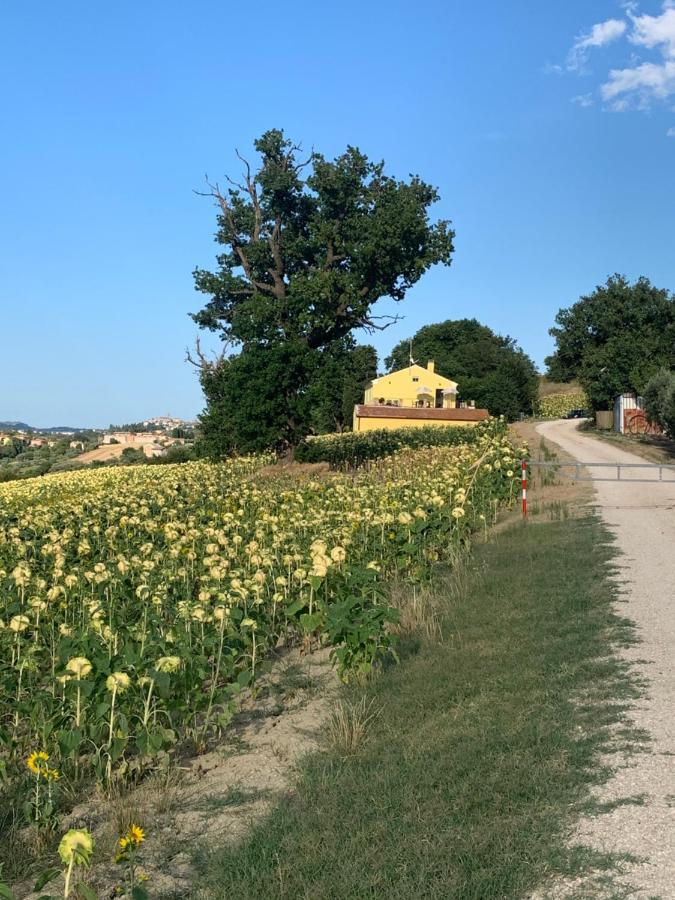 La Roverella Holiday home